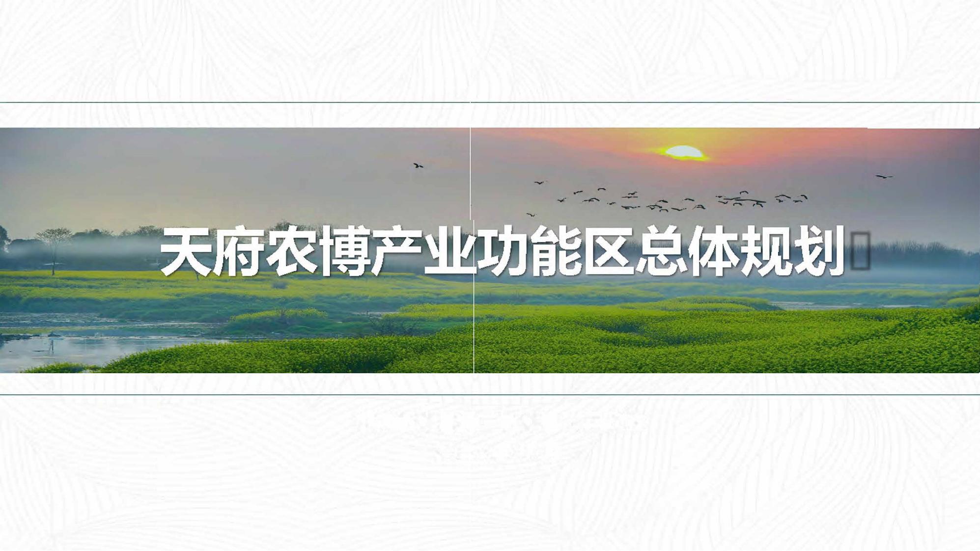 [四川]成都天府农业产业园总体规划设计PDF-由甫网