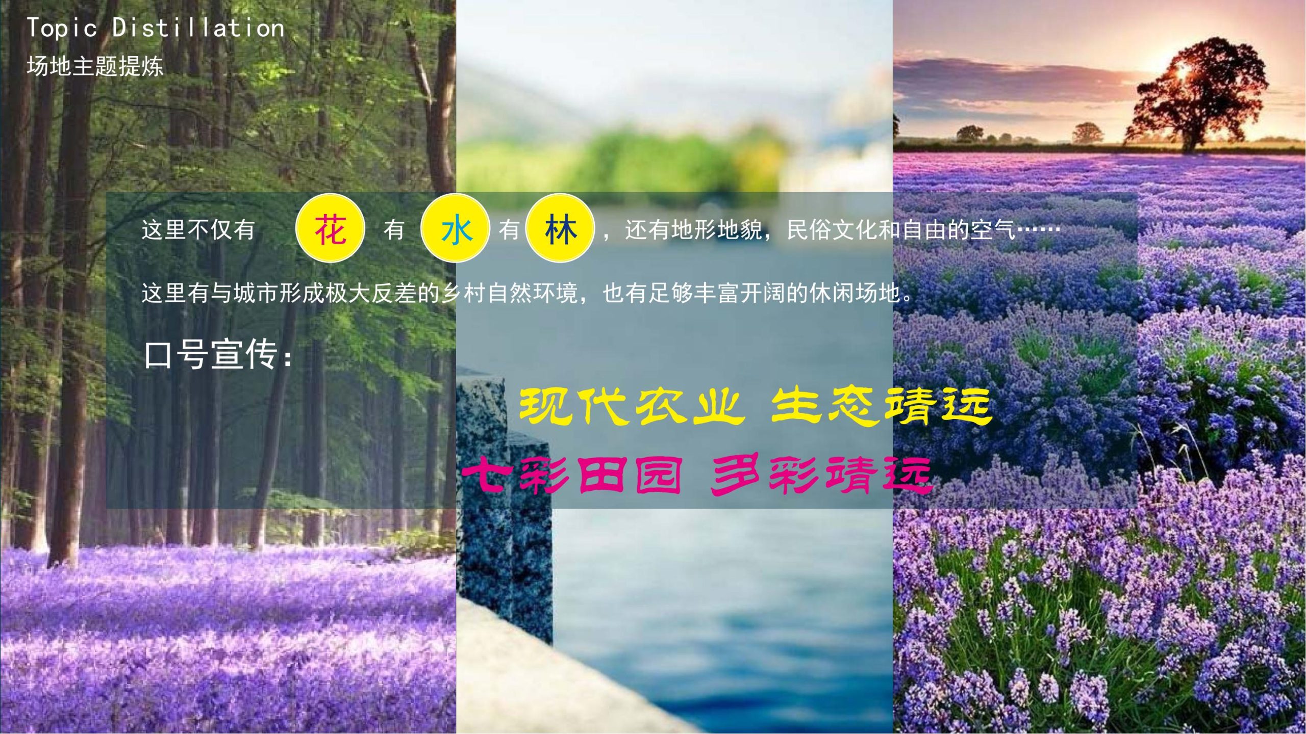 【甘肃】白银市靖远县若笠乡七彩田园乡村综合体景观规划设计方案-由甫网